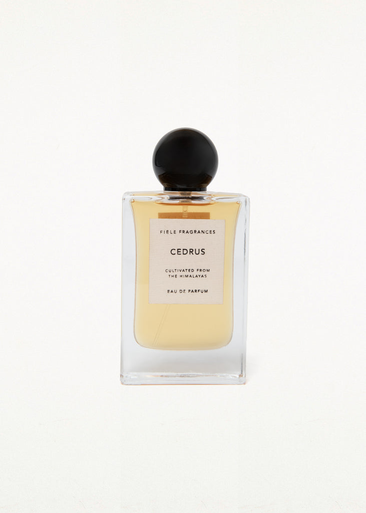 CEDRUS - 50ML