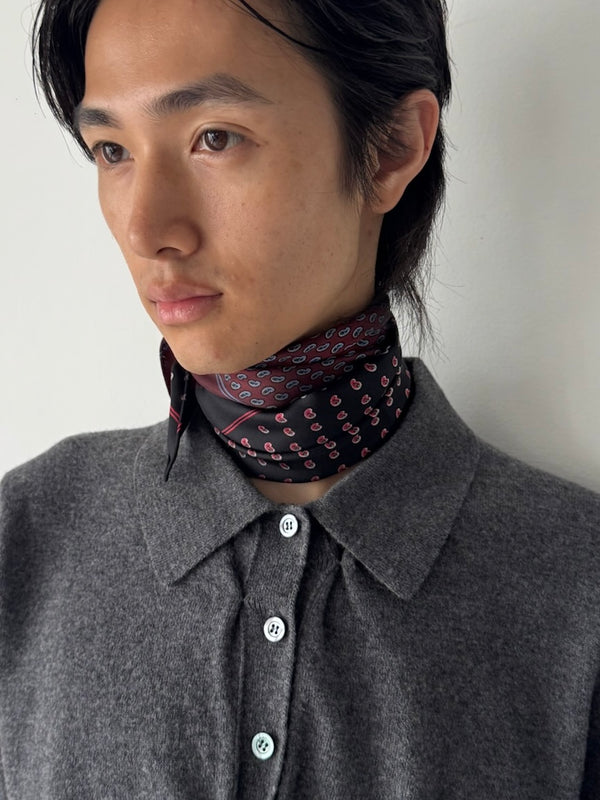 【S50TE0125 M36063001S】PAISLEY SILK SCARF MULTI